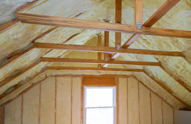 Best Attic Insulation Near Me  in Delphos, OH