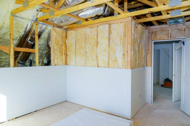 Best Professional Insulation Contractor  in Delphos, OH