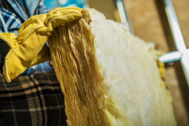 Best Insulation Repair Services  in Delphos, OH
