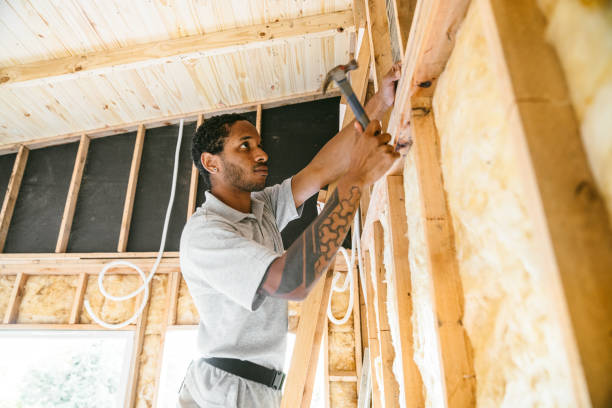 Best Residential Insulation Services  in Delphos, OH