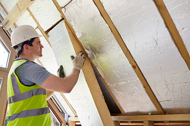 Best Home Insulation Services  in Delphos, OH
