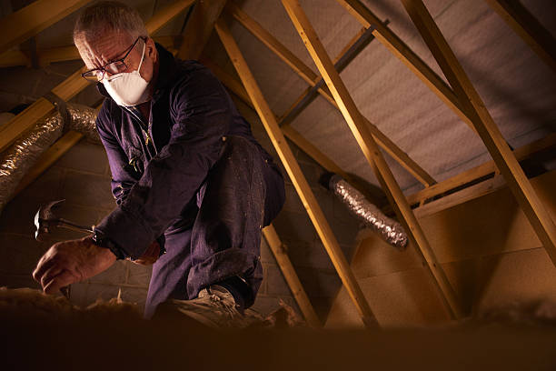 Best Crawl Space Insulation  in Delphos, OH