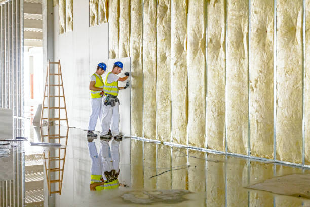 Best Home Insulation Services  in Delphos, OH